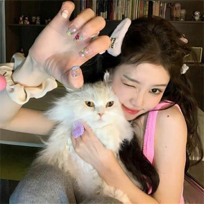 孤独的美食家第10季